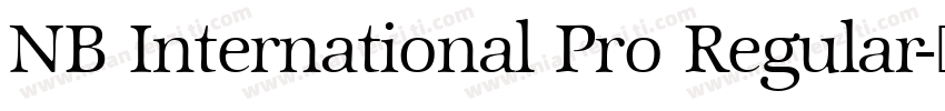 NB International Pro Regular字体转换
